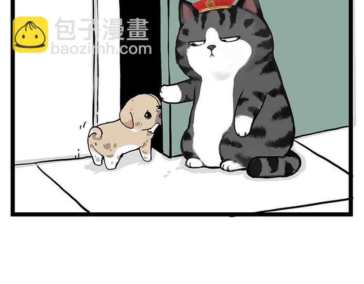 🍘吾皇巴扎黑 第266话 我偷垃圾养你 第19页