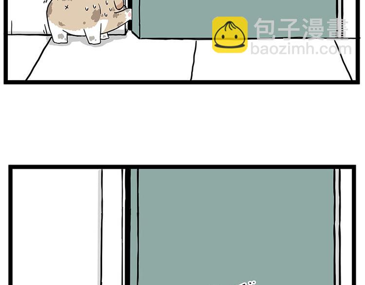 🍘吾皇巴扎黑 第266话 我偷垃圾养你 第9页