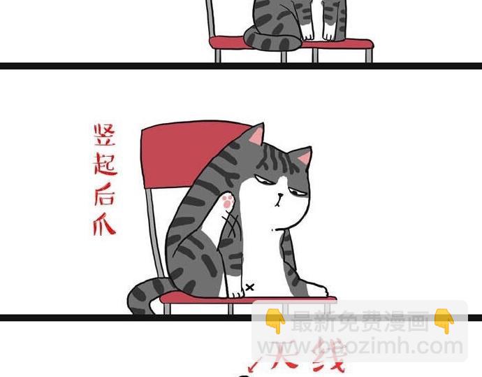 🍘吾皇巴扎黑 第28话 与喵星失去联系的吾皇 第7页