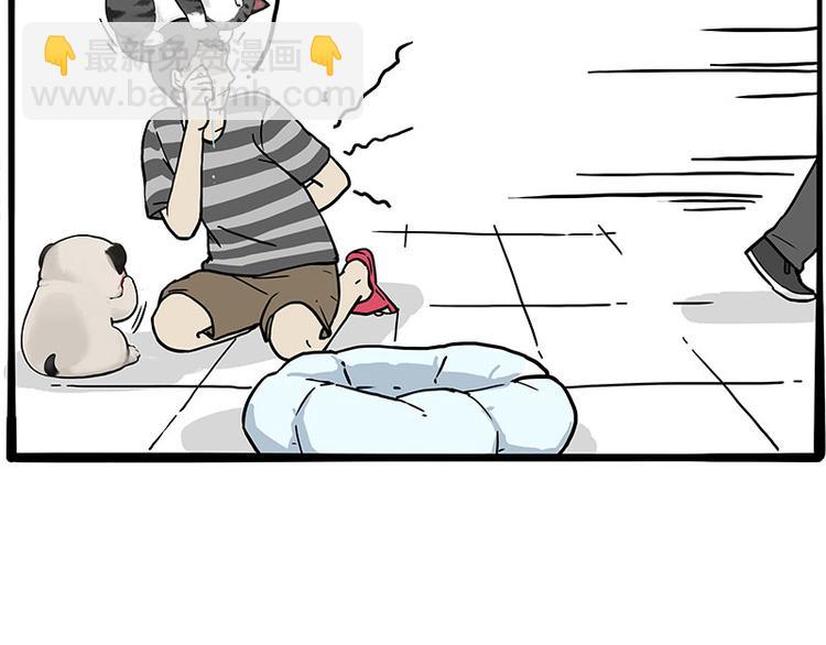 🍘吾皇巴扎黑 第272话 一定会再见 第11页