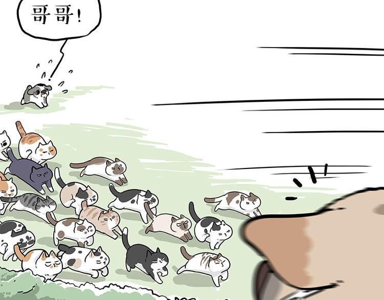 🍘吾皇巴扎黑 第272话 一定会再见 第22页