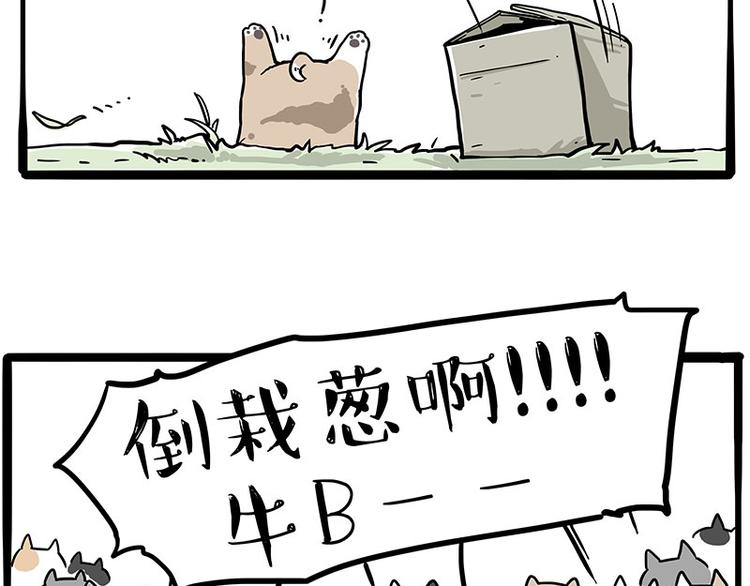 🍘吾皇巴扎黑 第272话 一定会再见 第36页