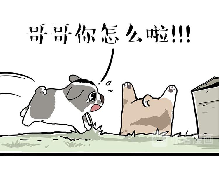 🍘吾皇巴扎黑 第272话 一定会再见 第39页