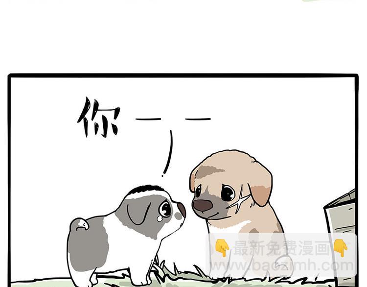 🍘吾皇巴扎黑 第272话 一定会再见 第43页