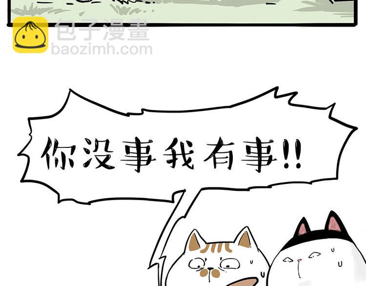 🍘吾皇巴扎黑 第272话 一定会再见 第44页