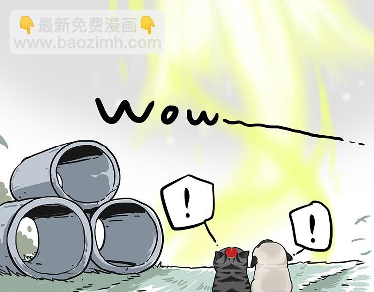 🍘吾皇巴扎黑 第278话 咱们上面有人了！ 第33页