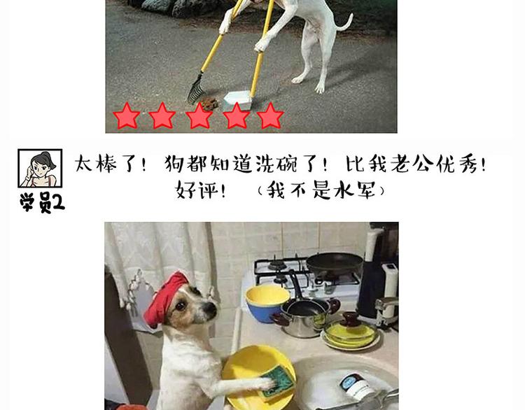 🍘吾皇巴扎黑 第280话 狗上学 第12页