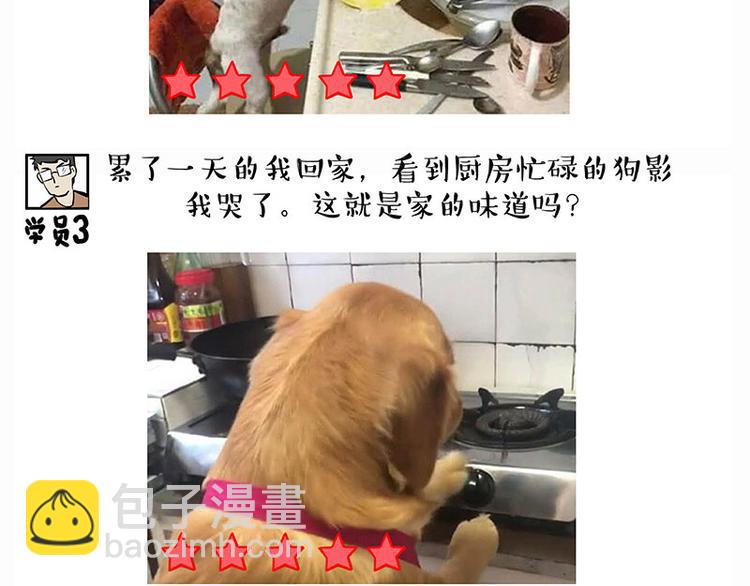 🍘吾皇巴扎黑 第280话 狗上学 第13页