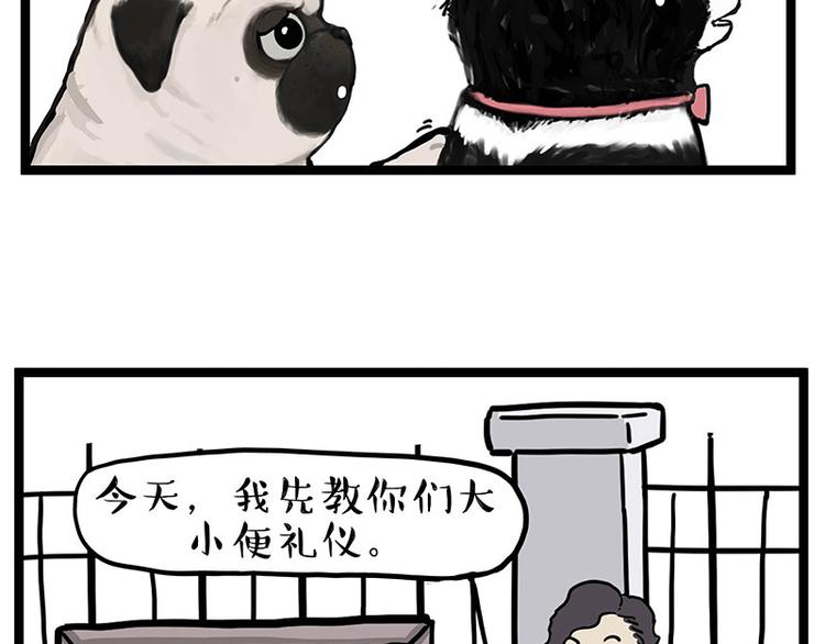 🍘吾皇巴扎黑 第280话 狗上学 第21页