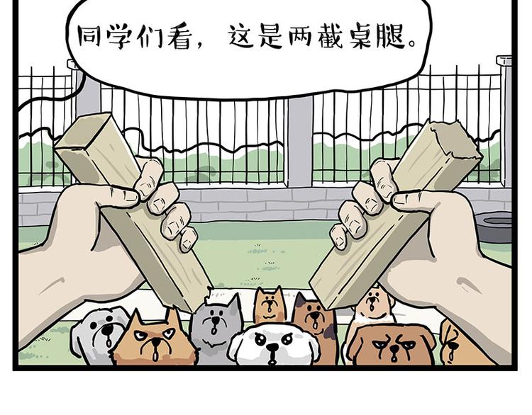 🍘吾皇巴扎黑 第280话 狗上学 第35页