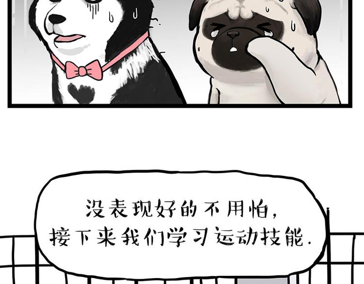 🍘吾皇巴扎黑 第280话 狗上学 第40页