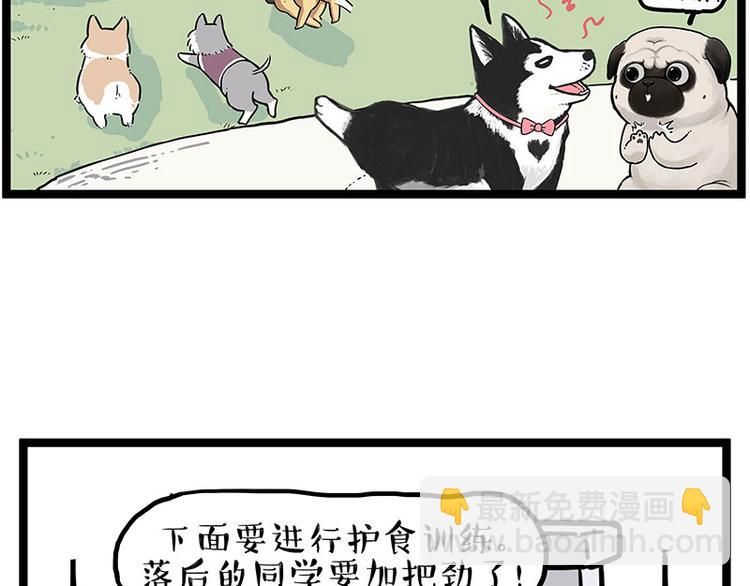 🍘吾皇巴扎黑 第280话 狗上学 第46页