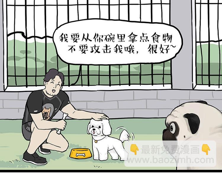 🍘吾皇巴扎黑 第280话 狗上学 第48页