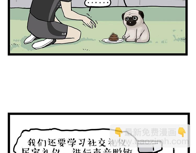 🍘吾皇巴扎黑 第280话 狗上学 第50页