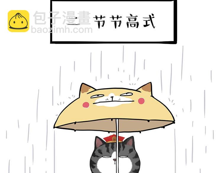 🍘吾皇巴扎黑 第282话 型男（猫） 第11页