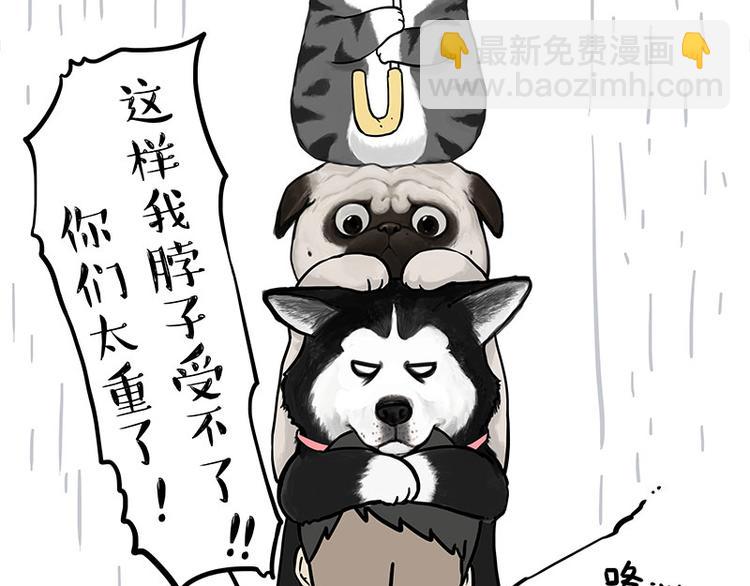 🍘吾皇巴扎黑 第282话 型男（猫） 第12页