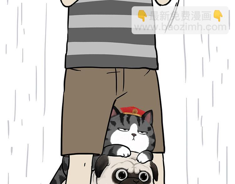 🍘吾皇巴扎黑 第282话 型男（猫） 第16页