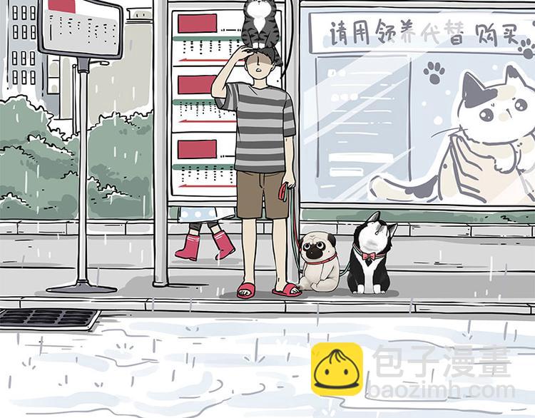 🍘吾皇巴扎黑 第282话 型男（猫） 第2页