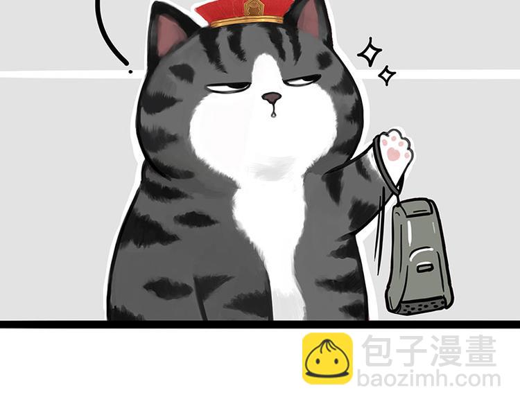 🍘吾皇巴扎黑 第282话 型男（猫） 第35页