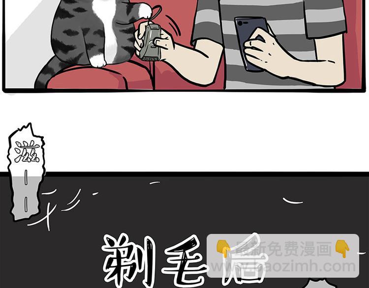 🍘吾皇巴扎黑 第282话 型男（猫） 第37页