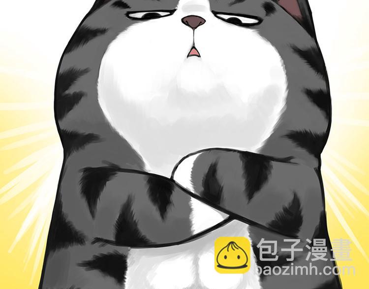 🍘吾皇巴扎黑 第282话 型男（猫） 第42页