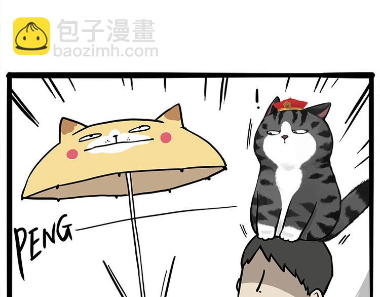 🍘吾皇巴扎黑 第282话 型男（猫） 第5页