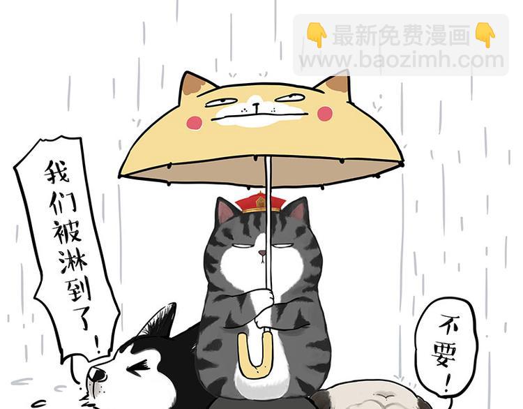 🍘吾皇巴扎黑 第282话 型男（猫） 第9页