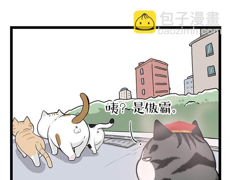 🍘吾皇巴扎黑 第284话 美喵竟是我自己 第11页
