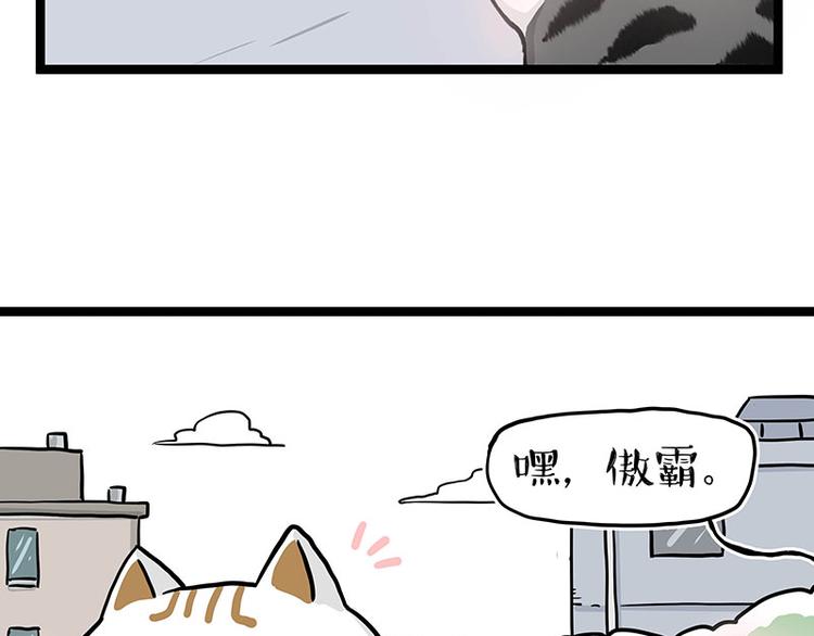 🍘吾皇巴扎黑 第284话 美喵竟是我自己 第12页