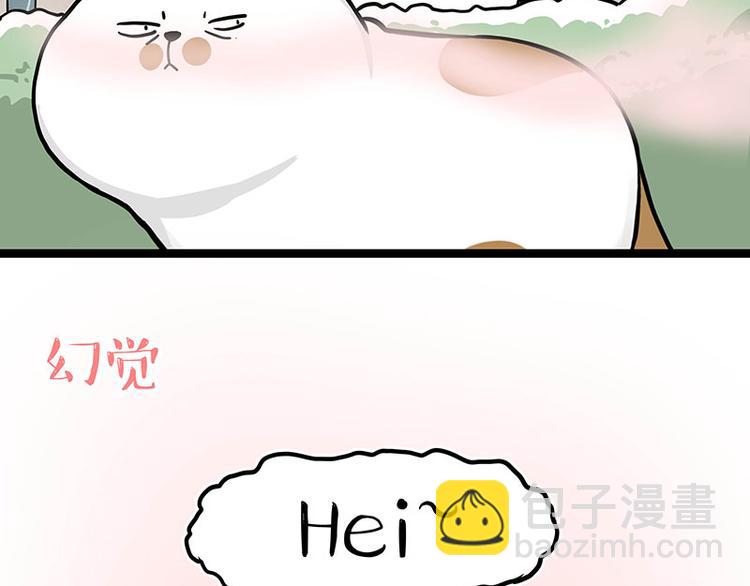 🍘吾皇巴扎黑 第284话 美喵竟是我自己 第13页
