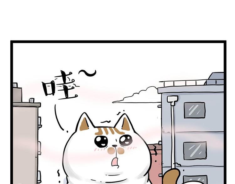 🍘吾皇巴扎黑 第284话 美喵竟是我自己 第15页