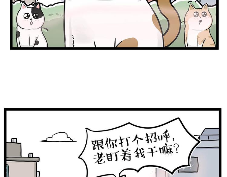 🍘吾皇巴扎黑 第284话 美喵竟是我自己 第16页