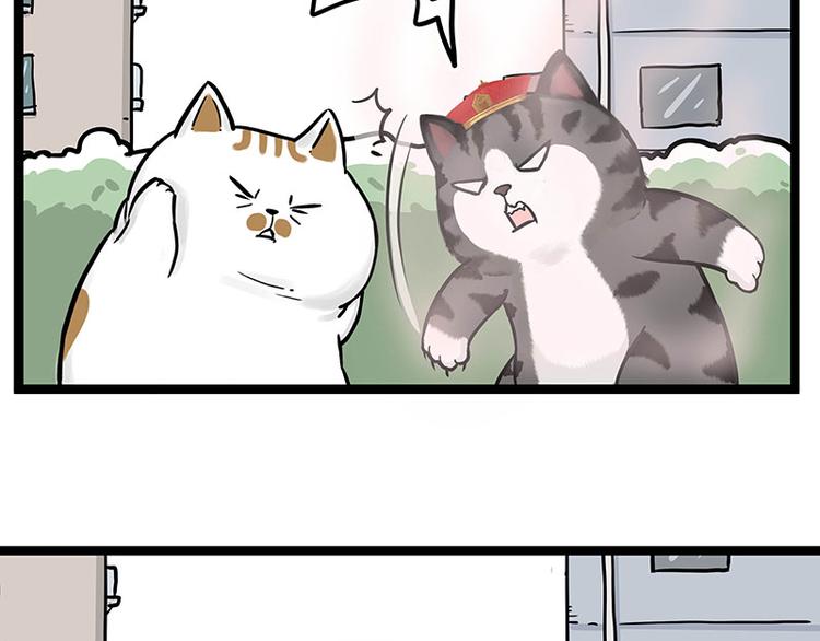 🍘吾皇巴扎黑 第284话 美喵竟是我自己 第17页
