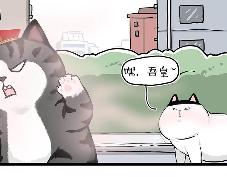 🍘吾皇巴扎黑 第284话 美喵竟是我自己 第18页