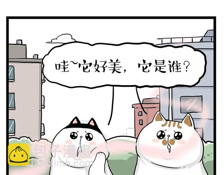 🍘吾皇巴扎黑 第284话 美喵竟是我自己 第21页