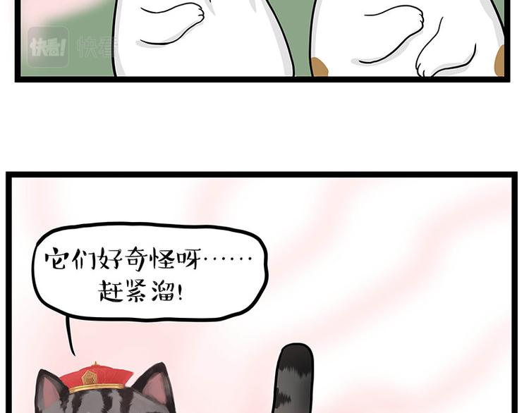 🍘吾皇巴扎黑 第284话 美喵竟是我自己 第22页