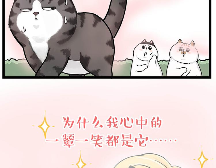 🍘吾皇巴扎黑 第284话 美喵竟是我自己 第23页