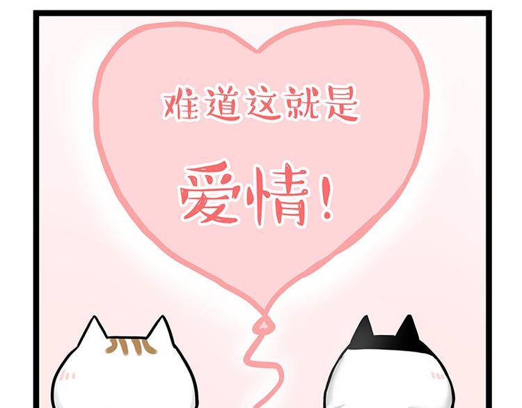 🍘吾皇巴扎黑 第284话 美喵竟是我自己 第27页