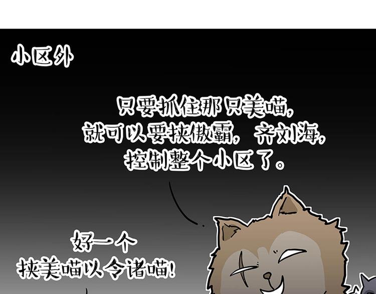 🍘吾皇巴扎黑 第284话 美喵竟是我自己 第30页