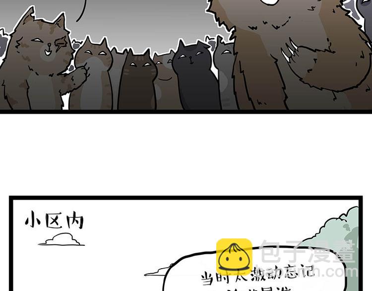🍘吾皇巴扎黑 第284话 美喵竟是我自己 第31页