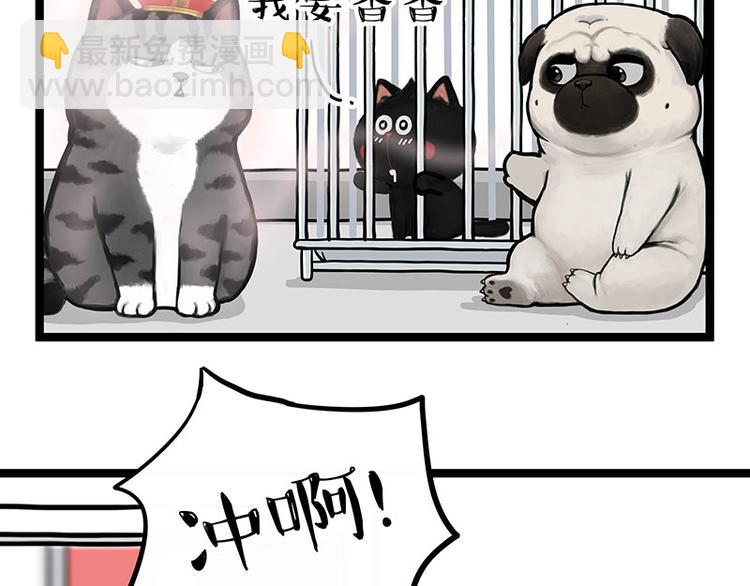 🍘吾皇巴扎黑 第284话 美喵竟是我自己 第34页