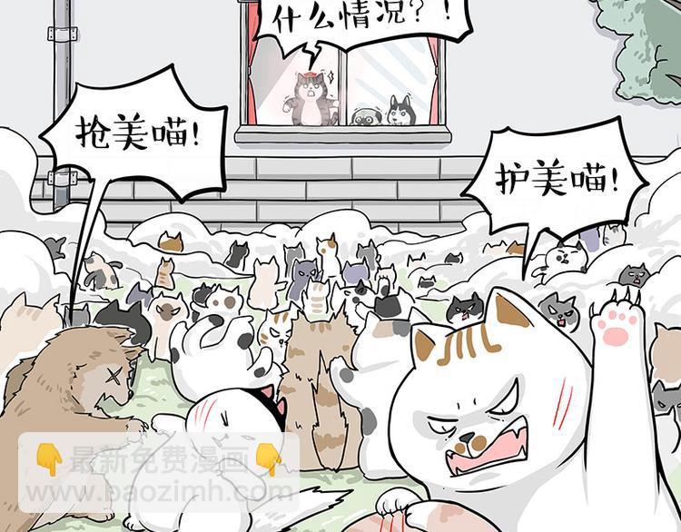 🍘吾皇巴扎黑 第284话 美喵竟是我自己 第38页