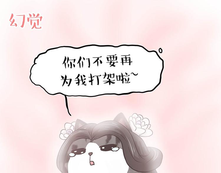 🍘吾皇巴扎黑 第284话 美喵竟是我自己 第43页