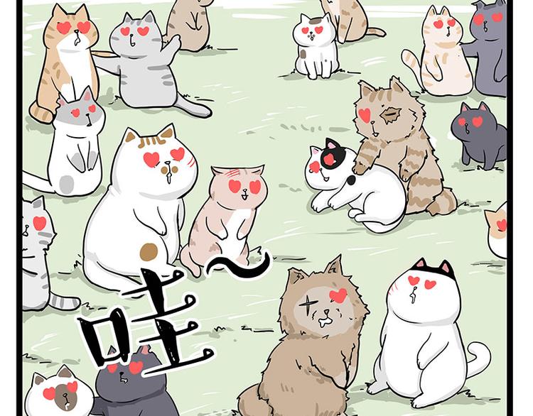 🍘吾皇巴扎黑 第284话 美喵竟是我自己 第45页