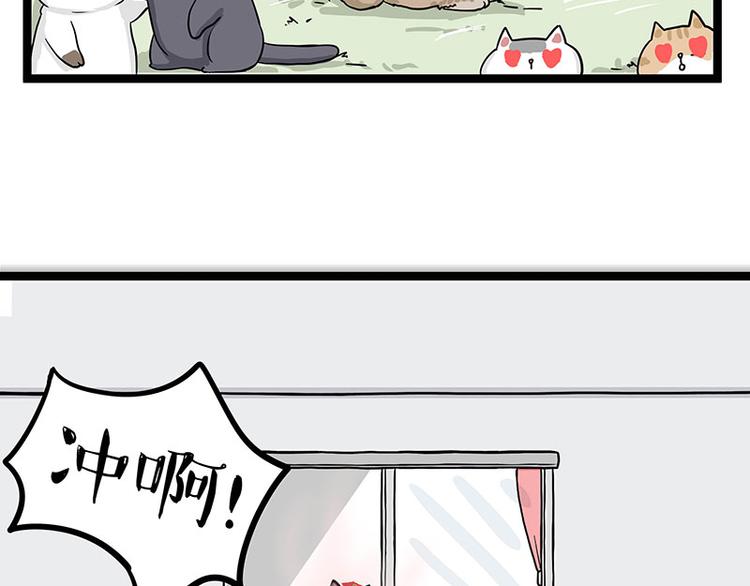 🍘吾皇巴扎黑 第284话 美喵竟是我自己 第46页