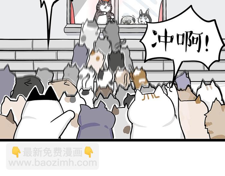 🍘吾皇巴扎黑 第284话 美喵竟是我自己 第47页