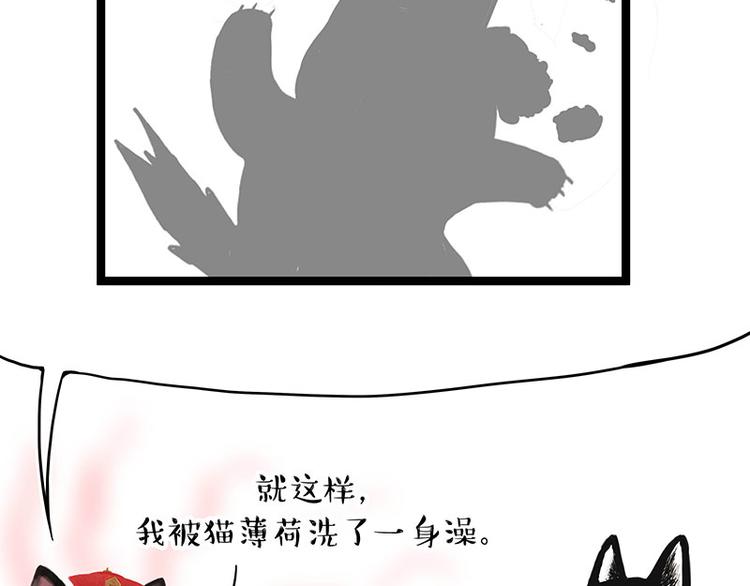 🍘吾皇巴扎黑 第284话 美喵竟是我自己 第5页