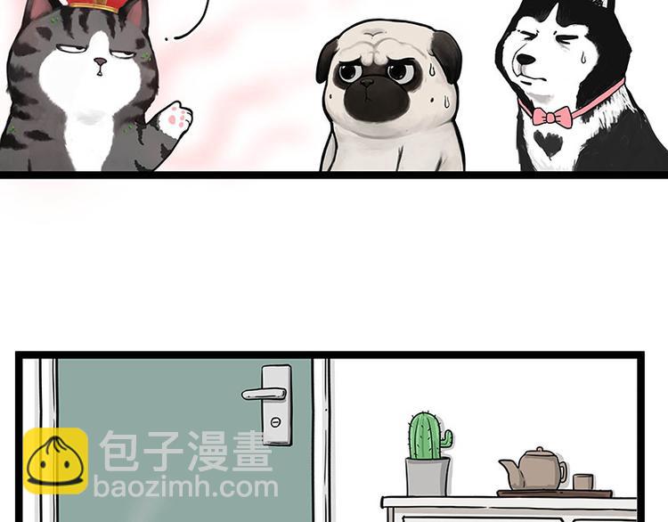 🍘吾皇巴扎黑 第284话 美喵竟是我自己 第6页