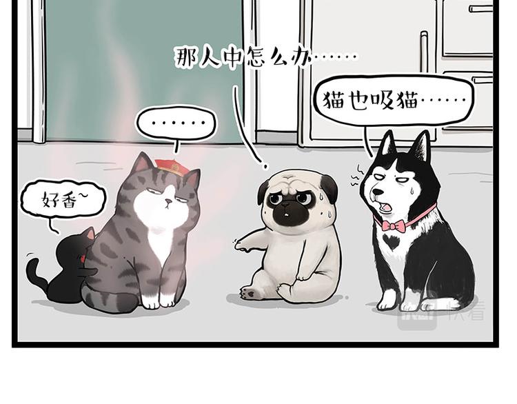 🍘吾皇巴扎黑 第284话 美喵竟是我自己 第7页