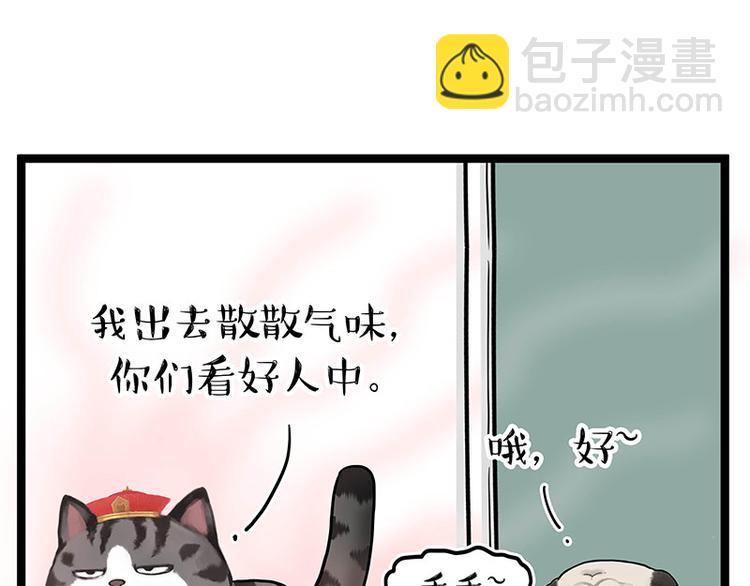 🍘吾皇巴扎黑 第284话 美喵竟是我自己 第8页